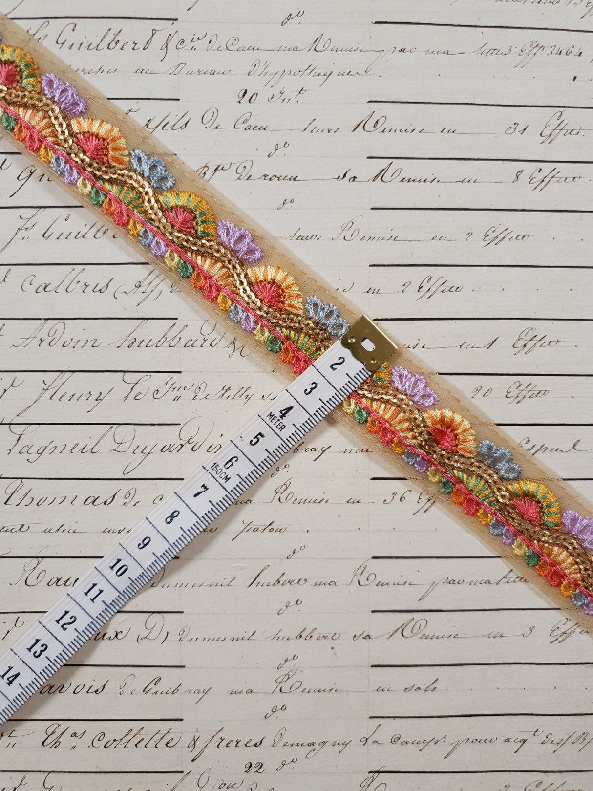 Embroidered Trim - 1 Meter - (ITR-1243)