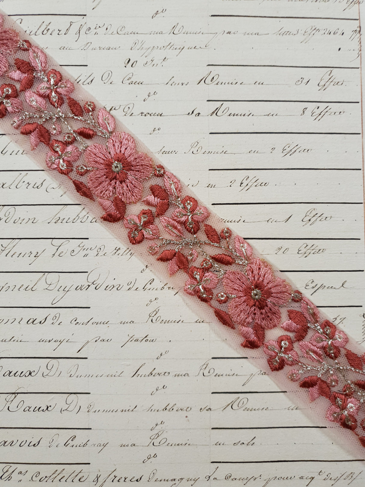 Embroidered Trim - 1 Meter - (ITR-1244)