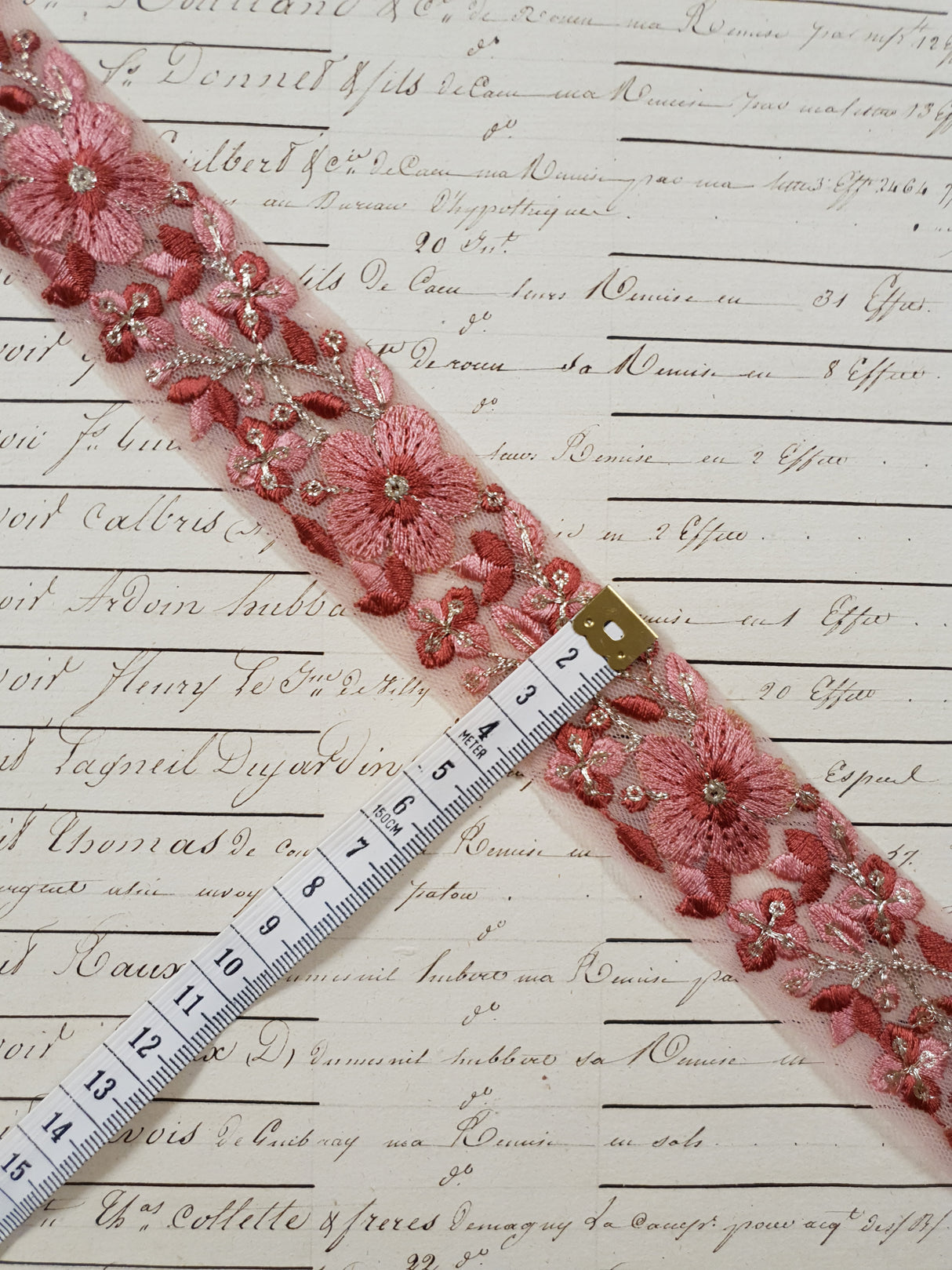 Embroidered Trim - 1 Meter - (ITR-1244)