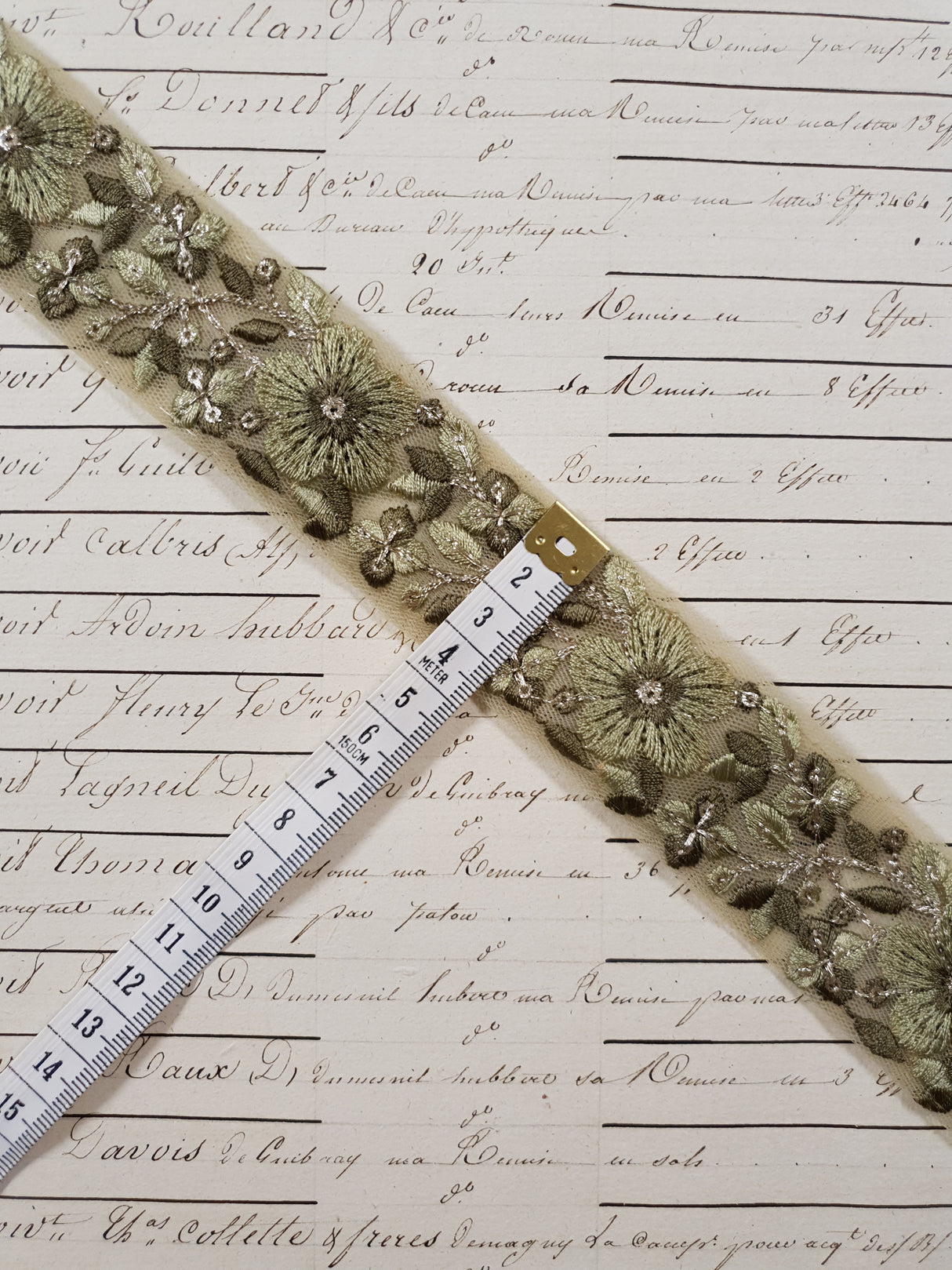 Embroidered Trim - 1 Meter - (ITR-1245)