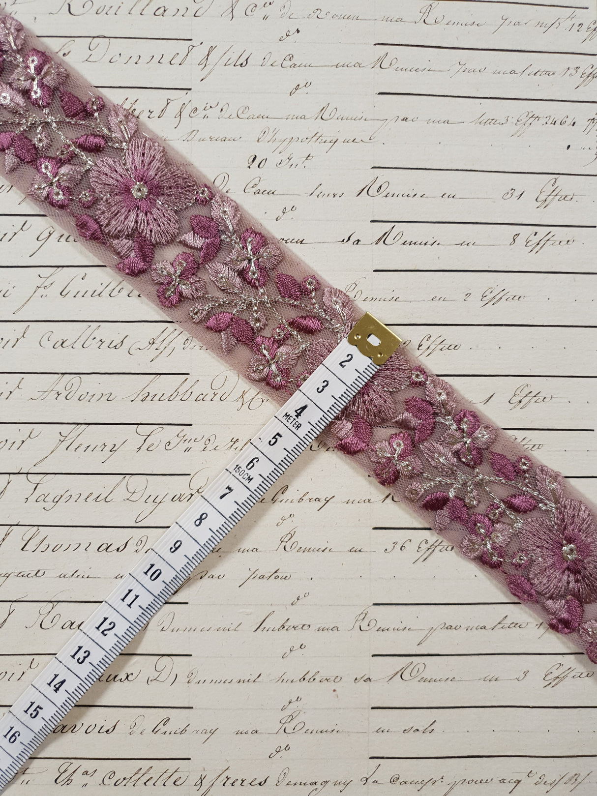 Embroidered Trim - 1 Meter - (ITR-1246)