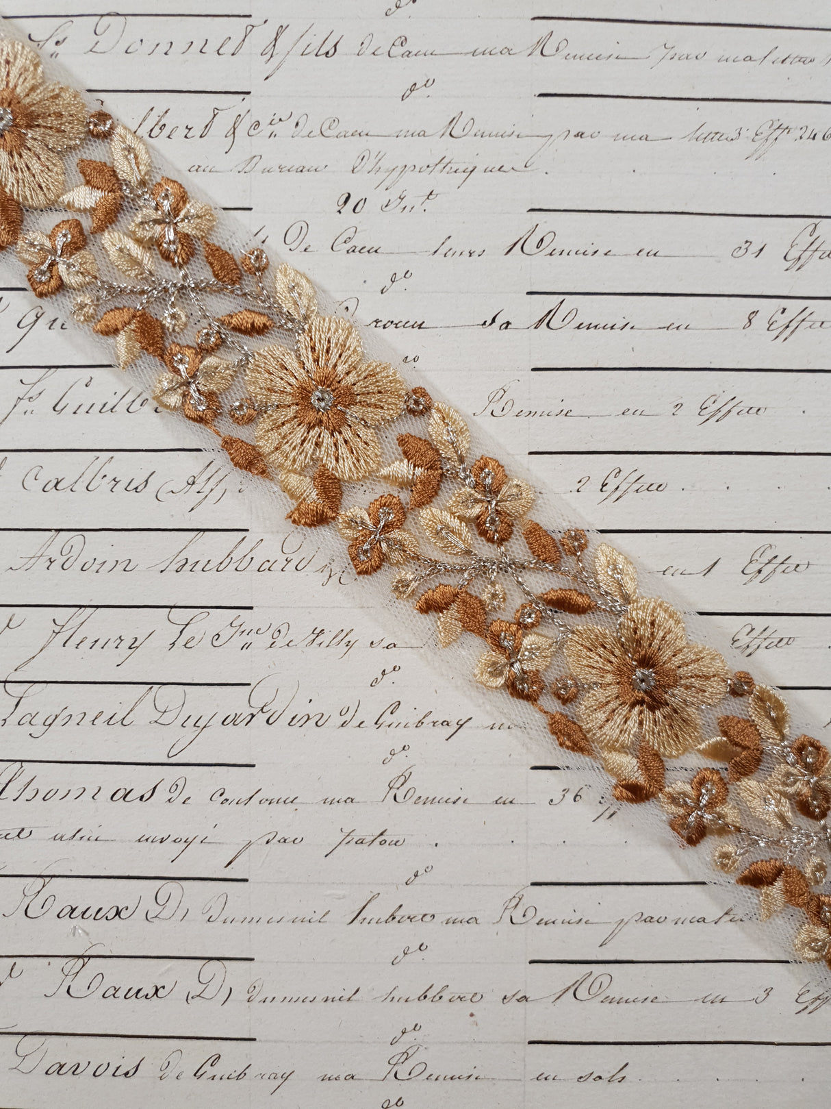 Embroidered Trim - 1 Meter - (ITR-1247)