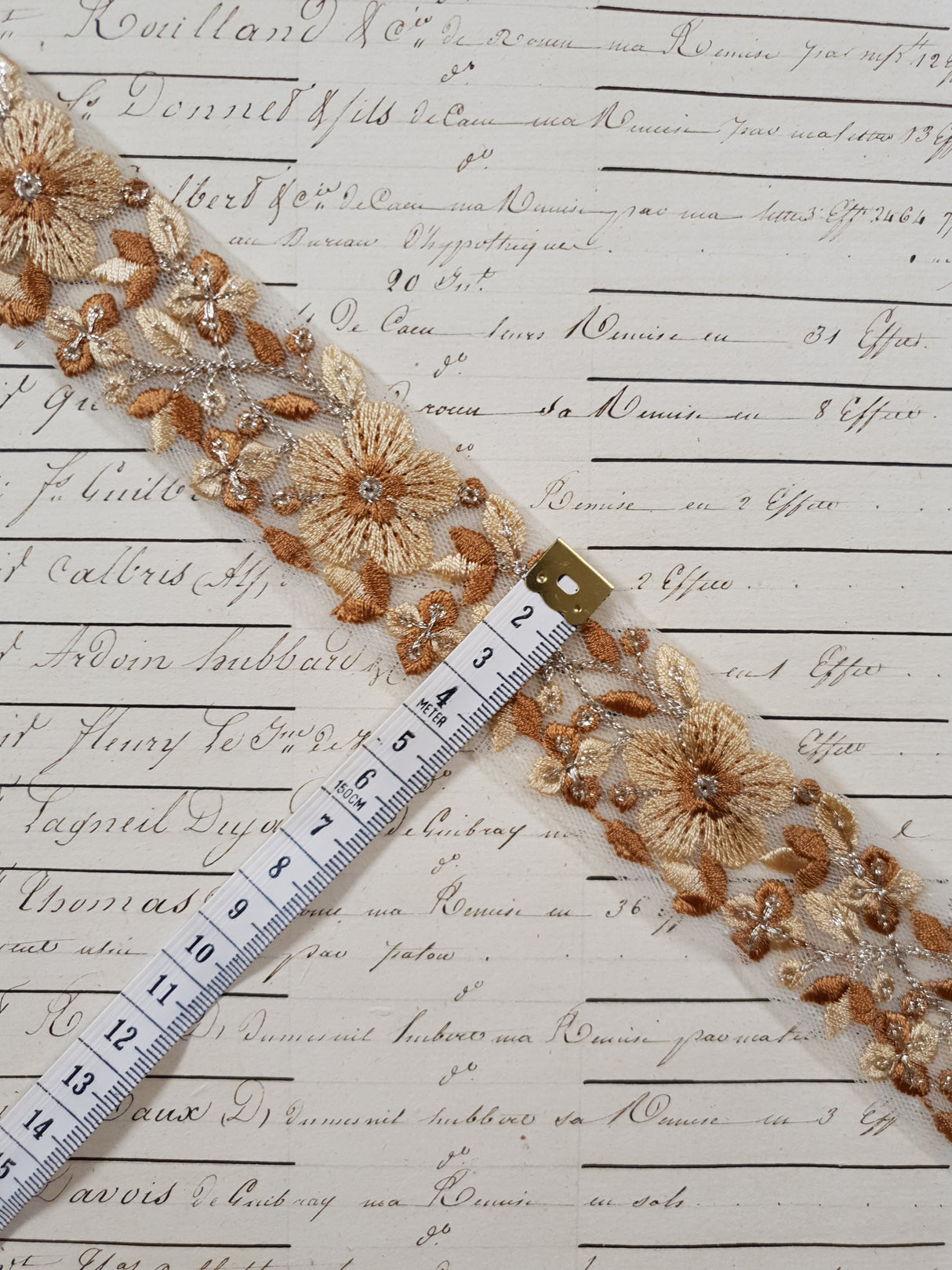 Embroidered Trim - 1 Meter - (ITR-1247)