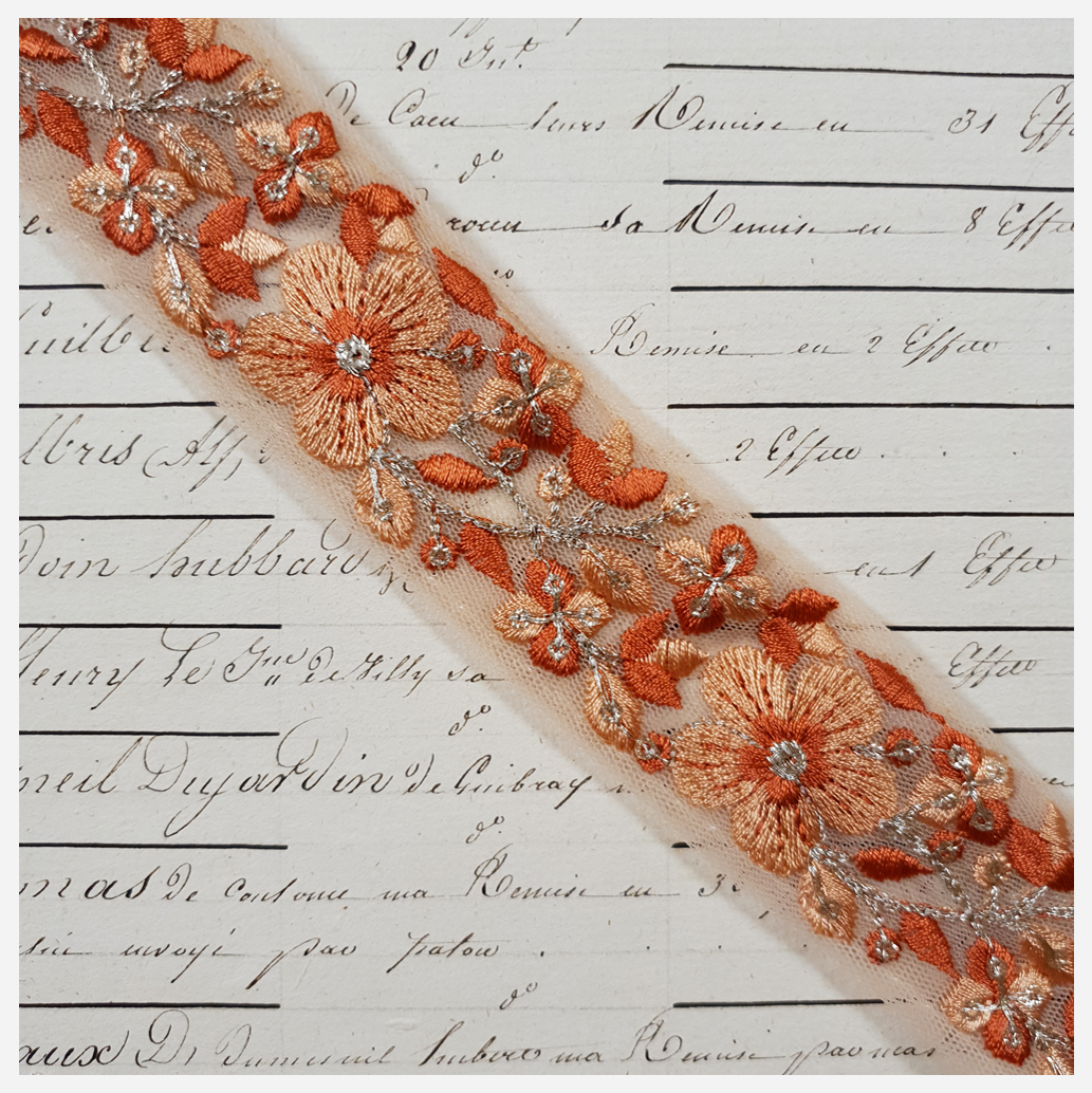 Embroidered Trim - 1 Meter - (ITR-1248)