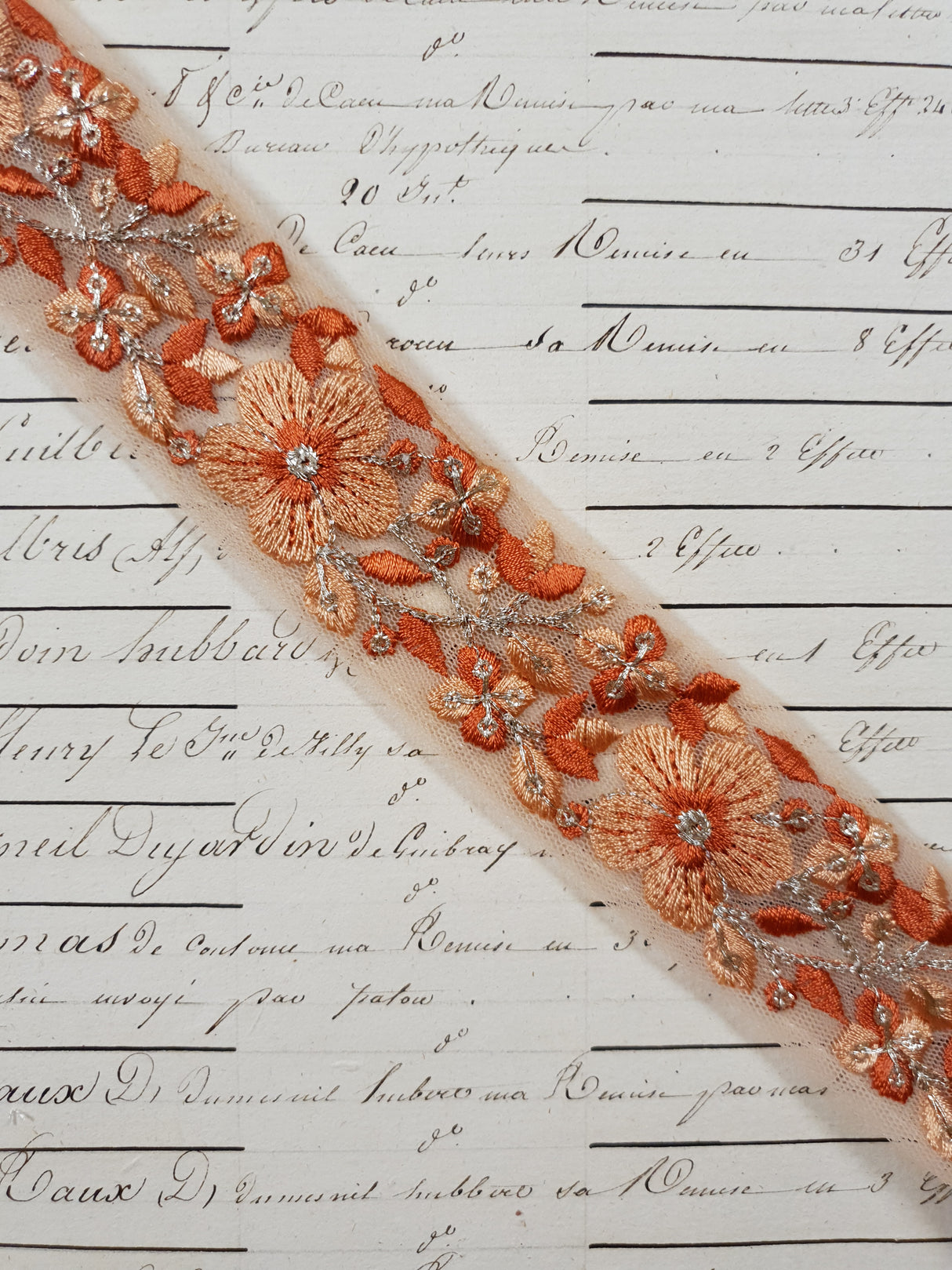 Embroidered Trim - 1 Meter - (ITR-1248)