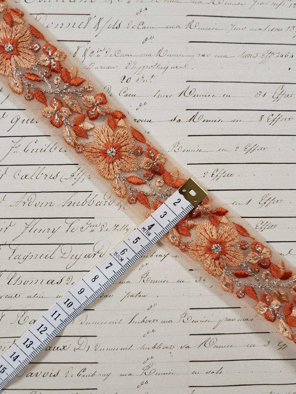 Embroidered Trim - 1 Meter - (ITR-1248)