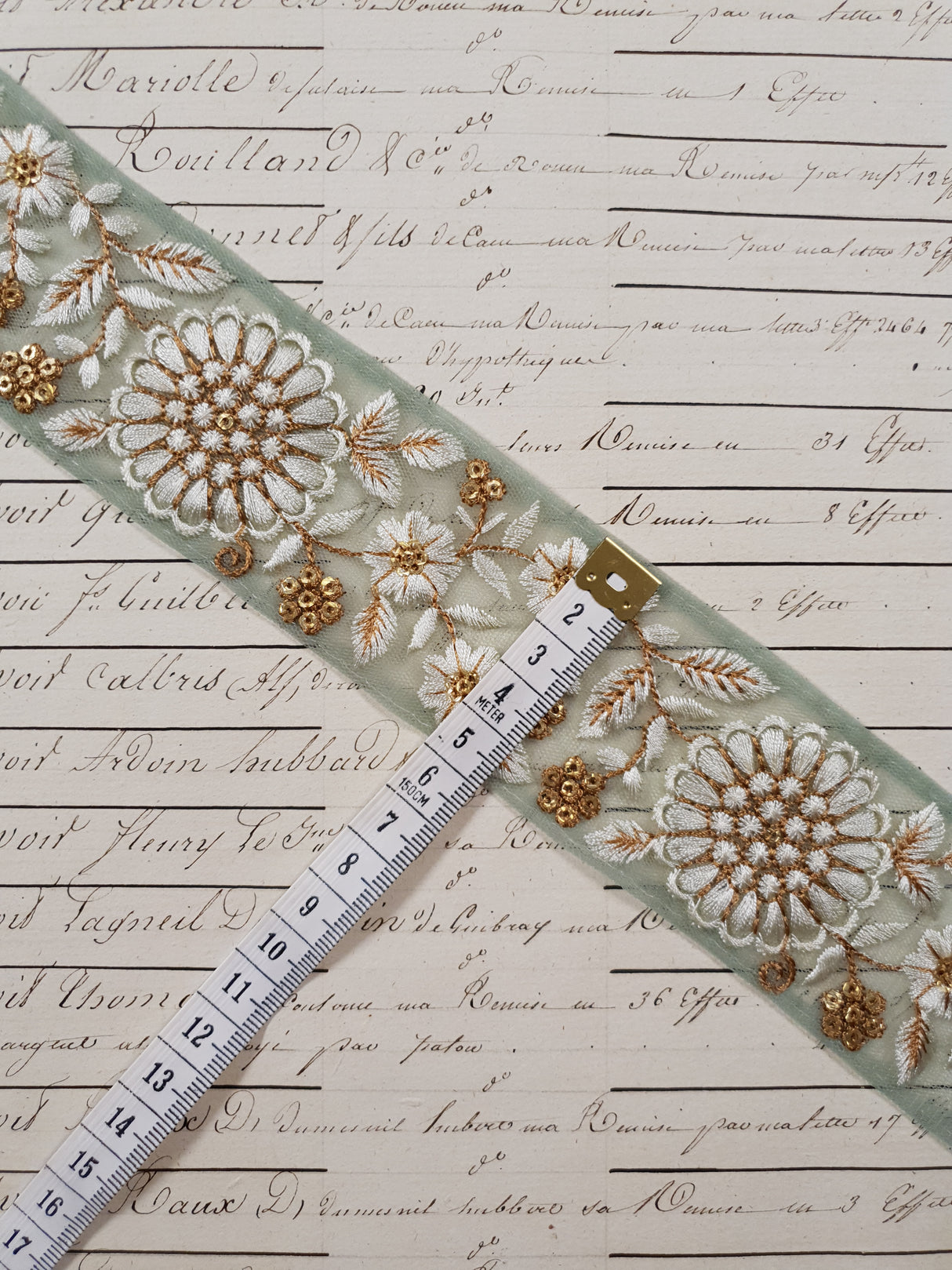 Embroidered Trim - 1 Meter - (ITR-1250)