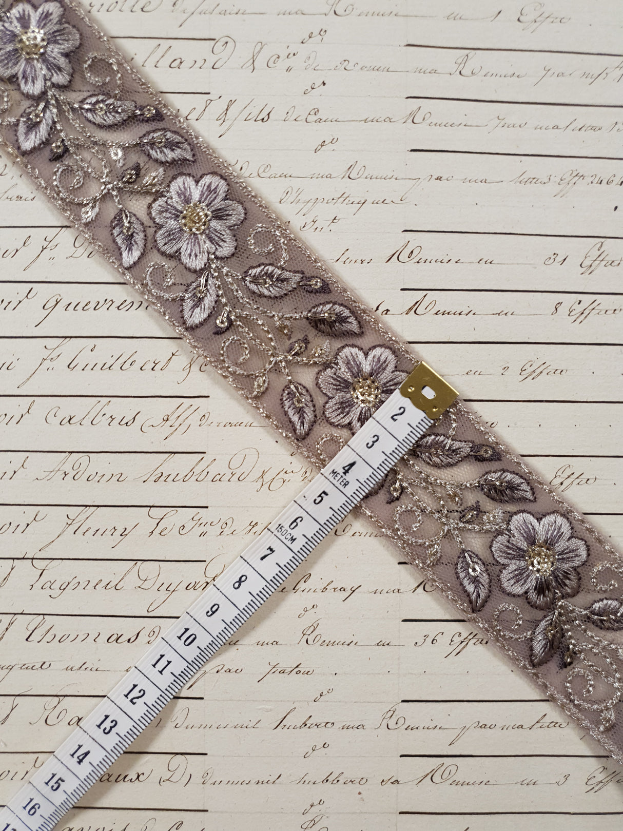 Embroidered Trim - 1 Meter - (ITR-1252)