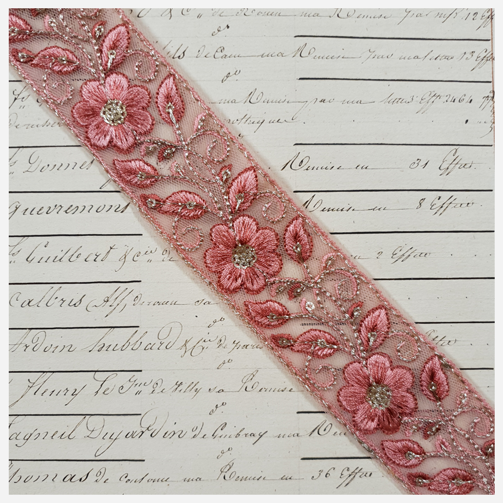 Embroidered Trim - 1 Meter - (ITR-1253)