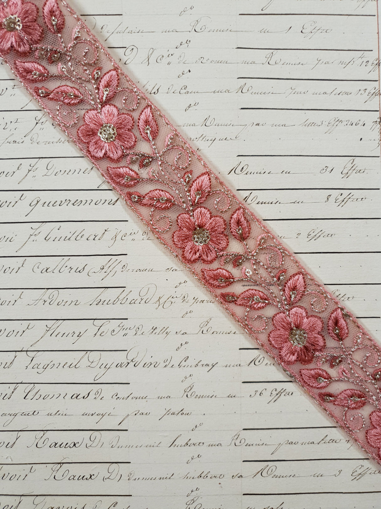 Embroidered Trim - 1 Meter - (ITR-1253)