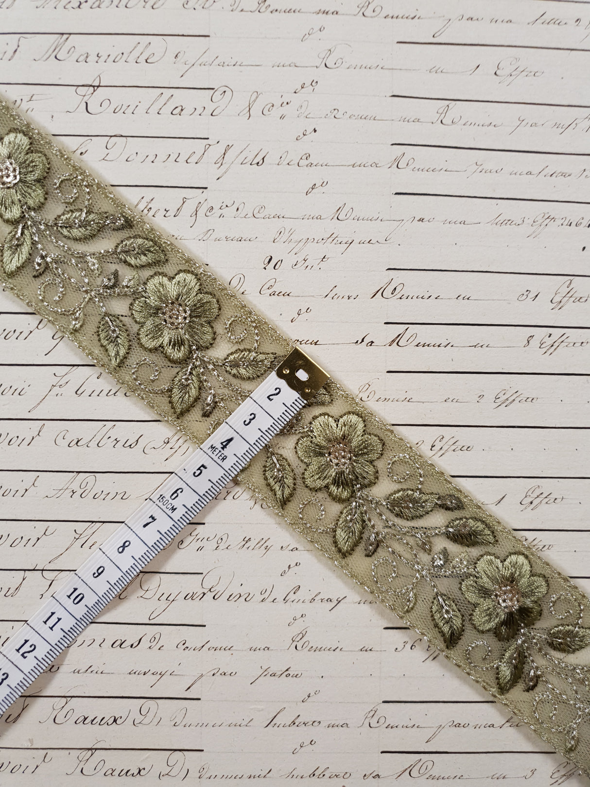 Embroidered Trim - 1 Meter - (ITR-1256)