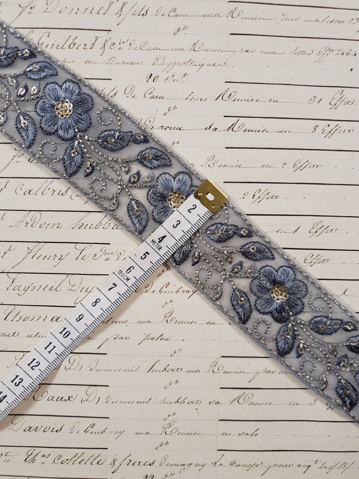 Embroidered Trim - 1 Meter - (ITR-1257)