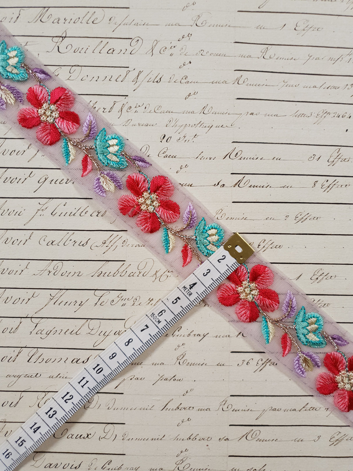 Embroidered Trim - 1 Meter - (ITR-1258)