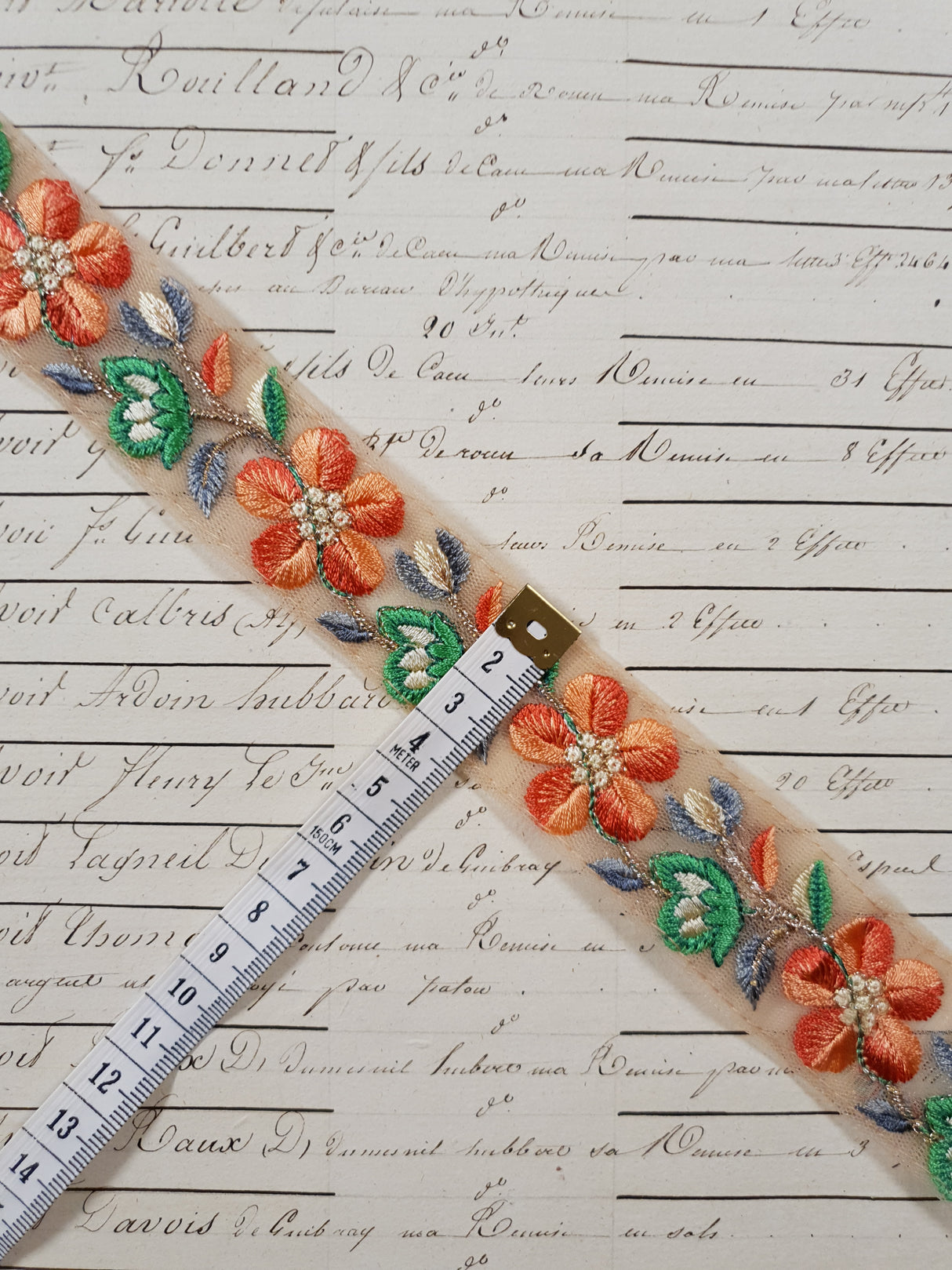 Embroidered Trim - 1 Meter - (ITR-1261)