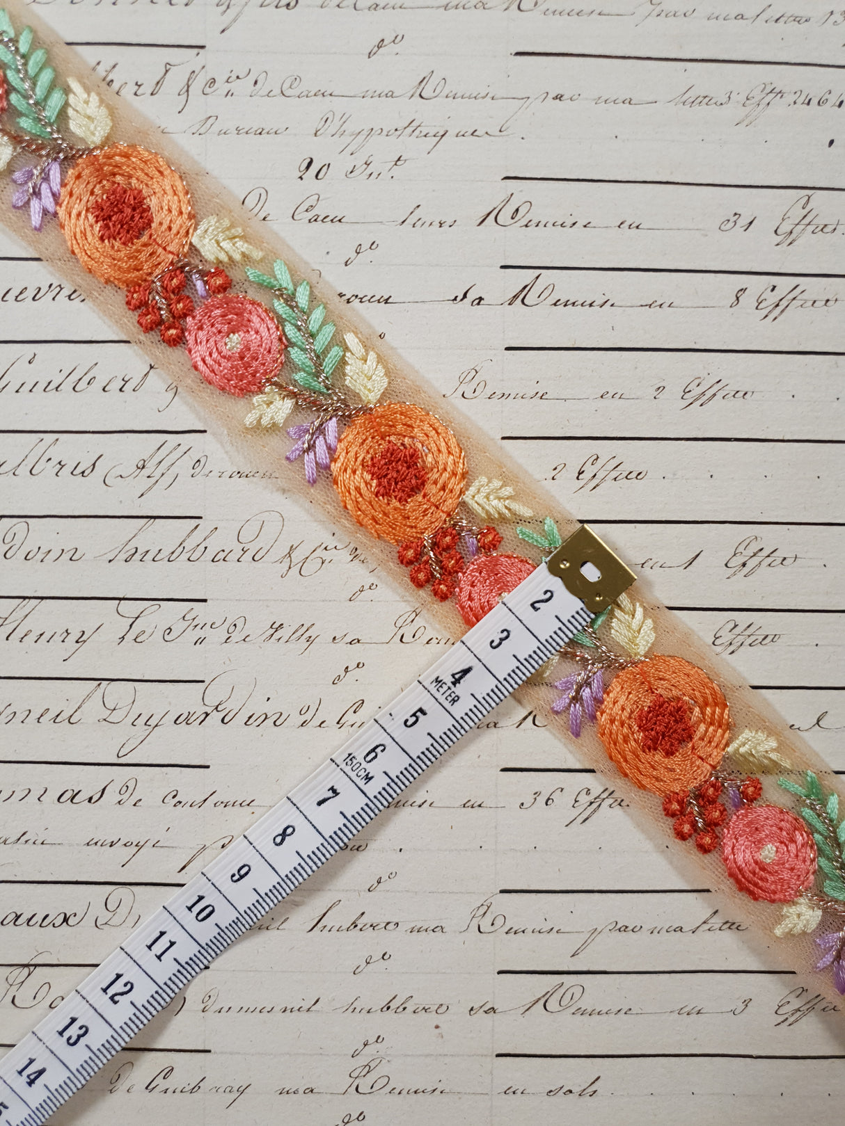 Embroidered Trim - 1 Meter - (ITR-1265)