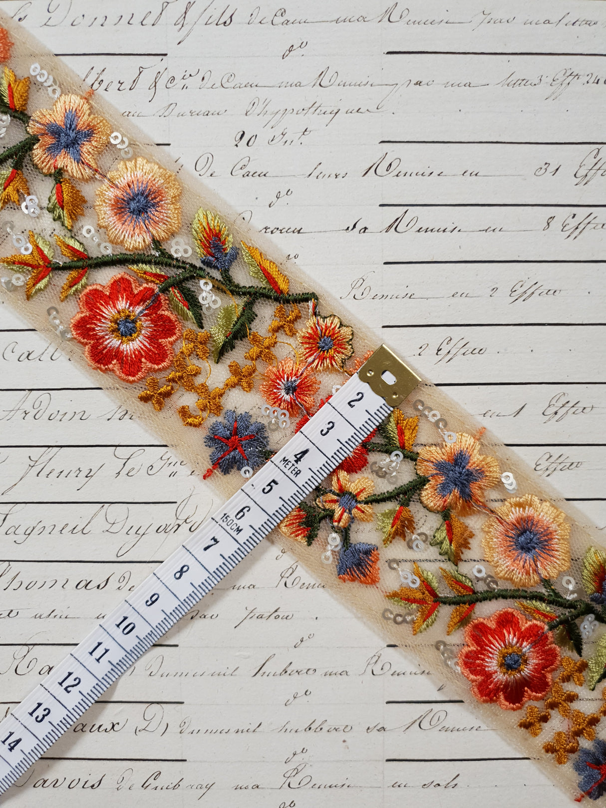 Embroidered Trim - 1 Meter - (ITR-1269)