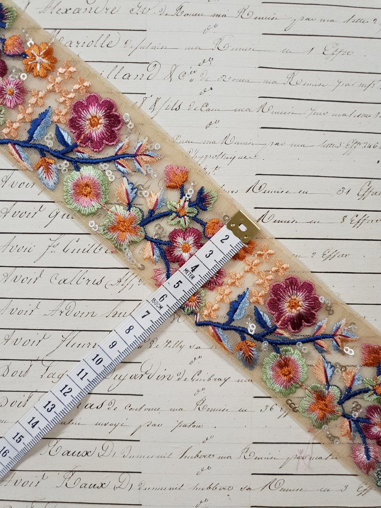 Embroidered Trim - 1 Meter - (ITR-1271)