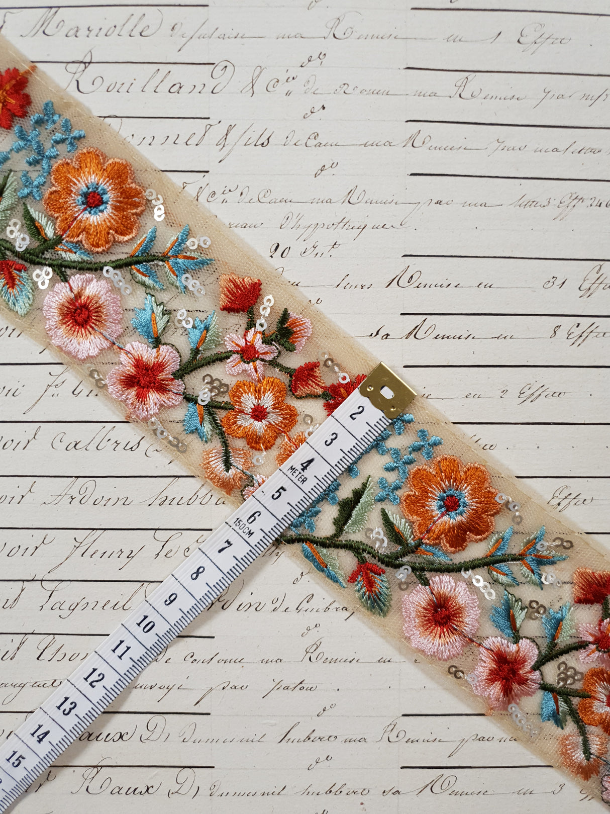 Embroidered Trim - 1 Meter - (ITR-1272)