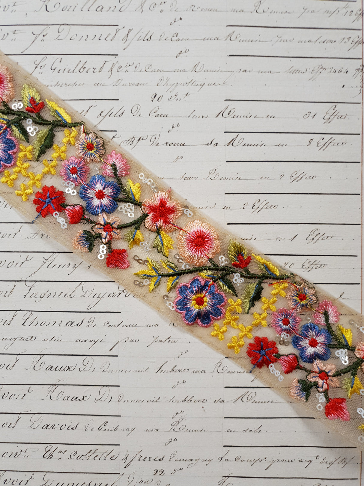 Embroidered Trim - 1 Meter - (ITR-1273)