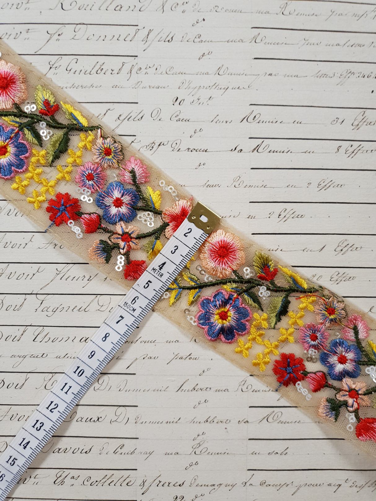 Embroidered Trim - 1 Meter - (ITR-1273)