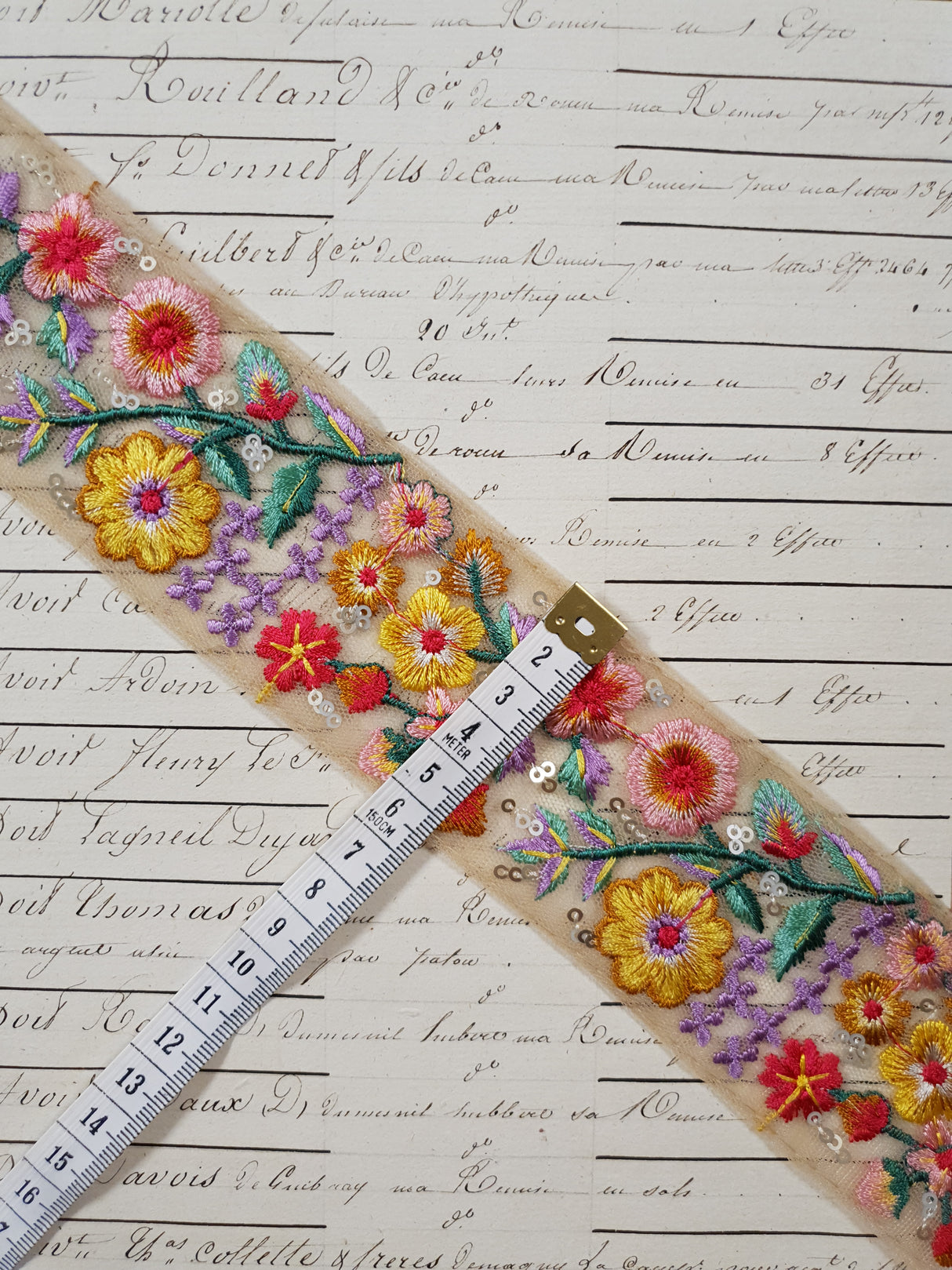 Embroidered Trim - 1 Meter - (ITR-1274)