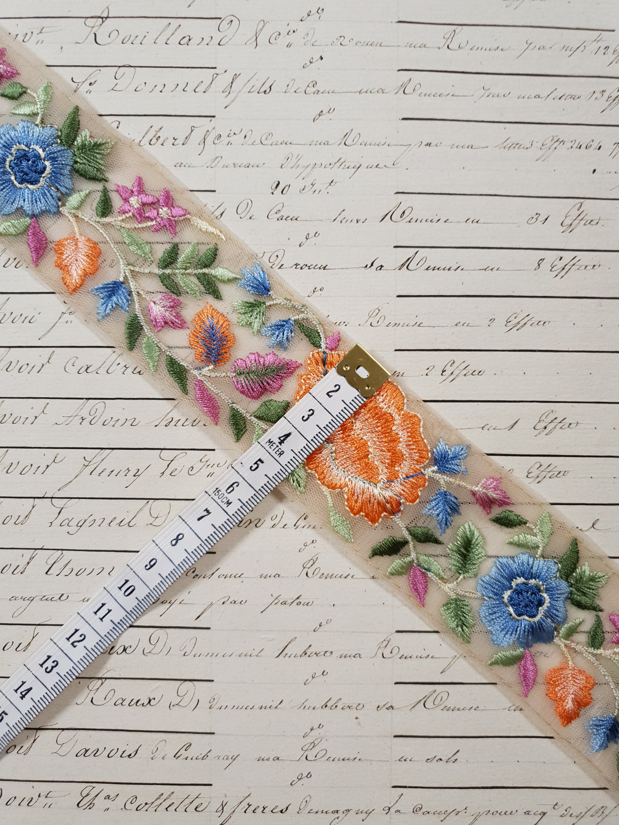 Embroidered Trim - 1 Meter - (ITR-1275)