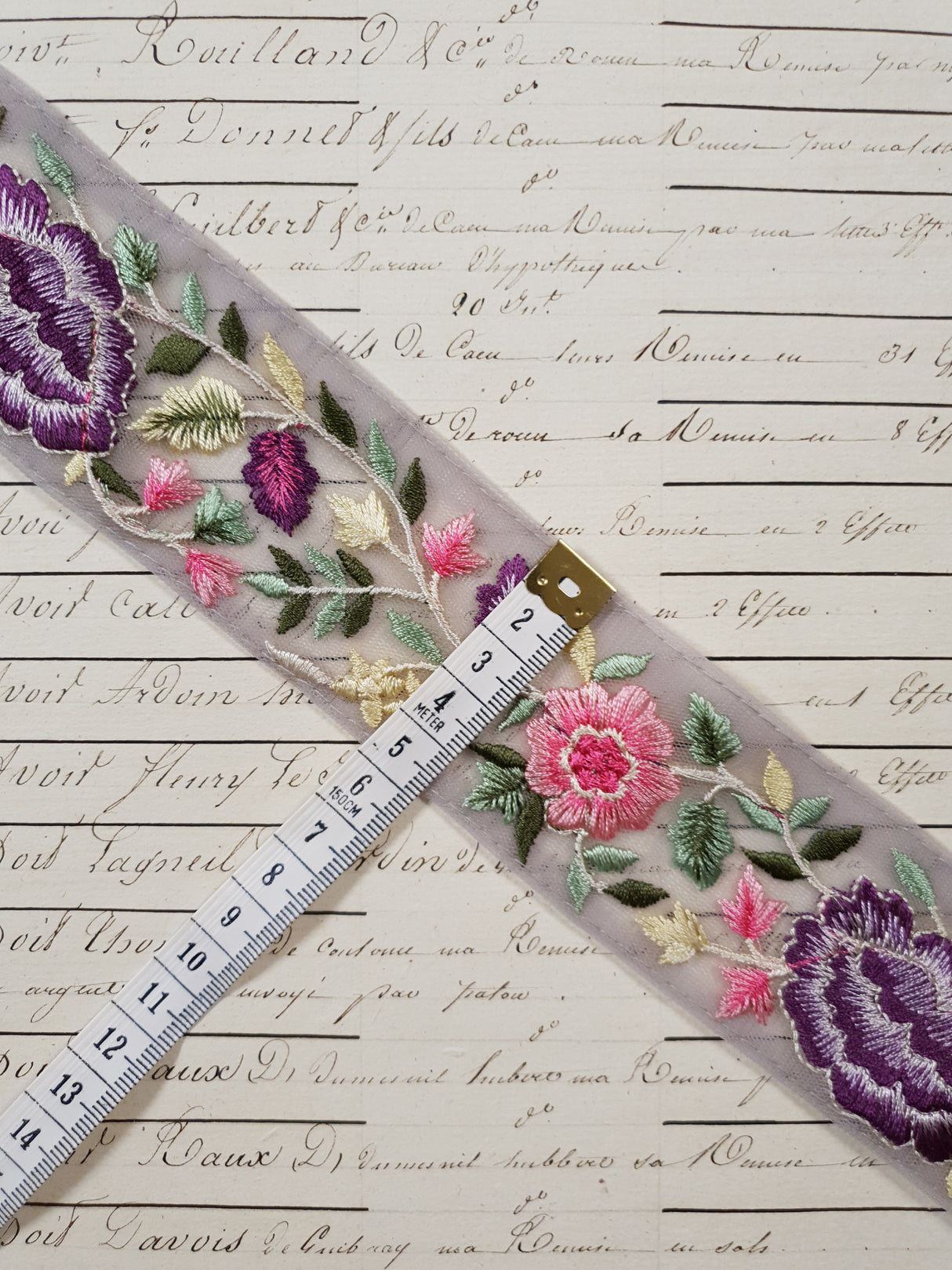 Embroidered Trim - 1 Meter - (ITR-1276)