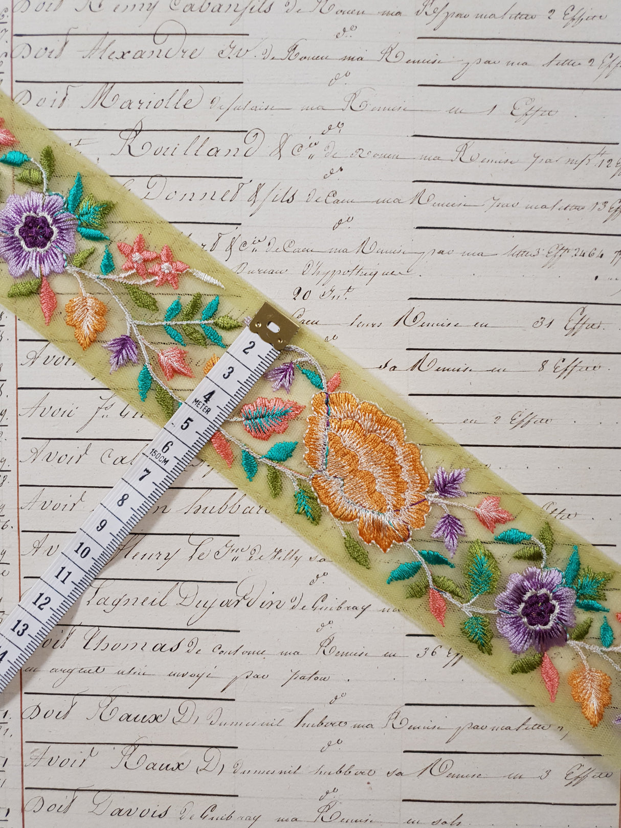 Embroidered Trim - 1 Meter - (ITR-1277)