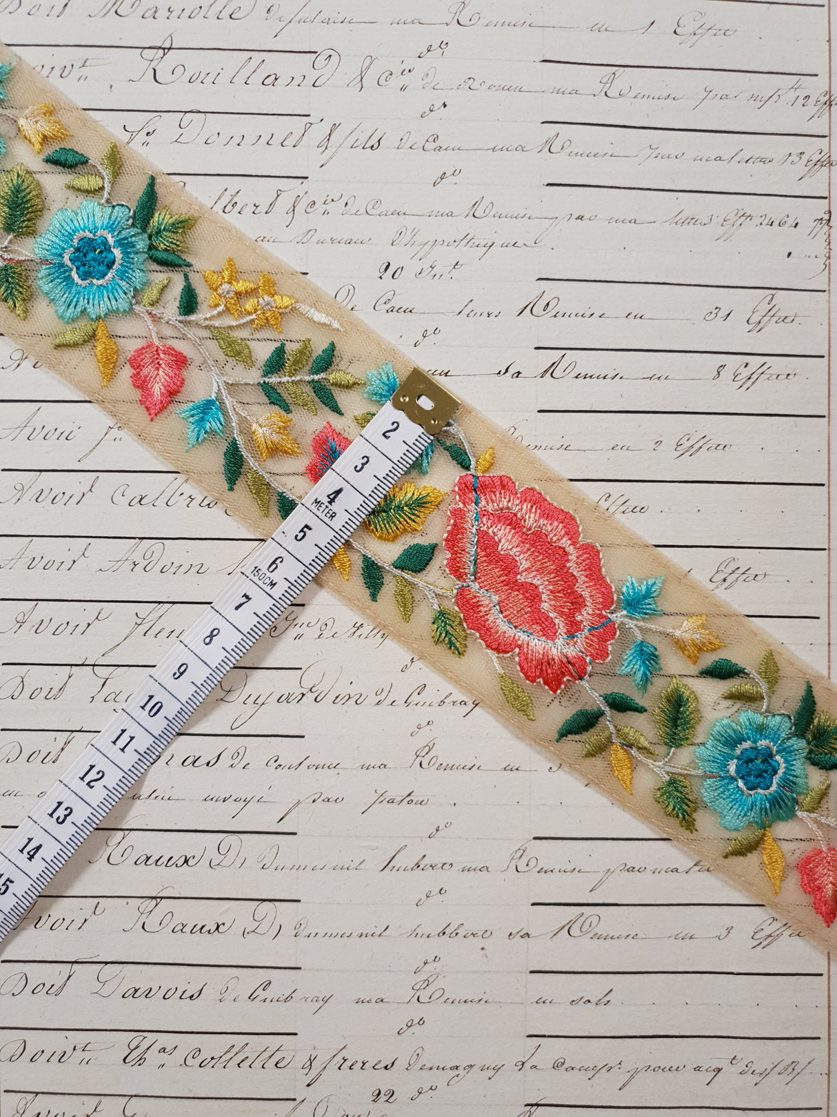 Embroidered Trim - 1 Meter - (ITR-1278)