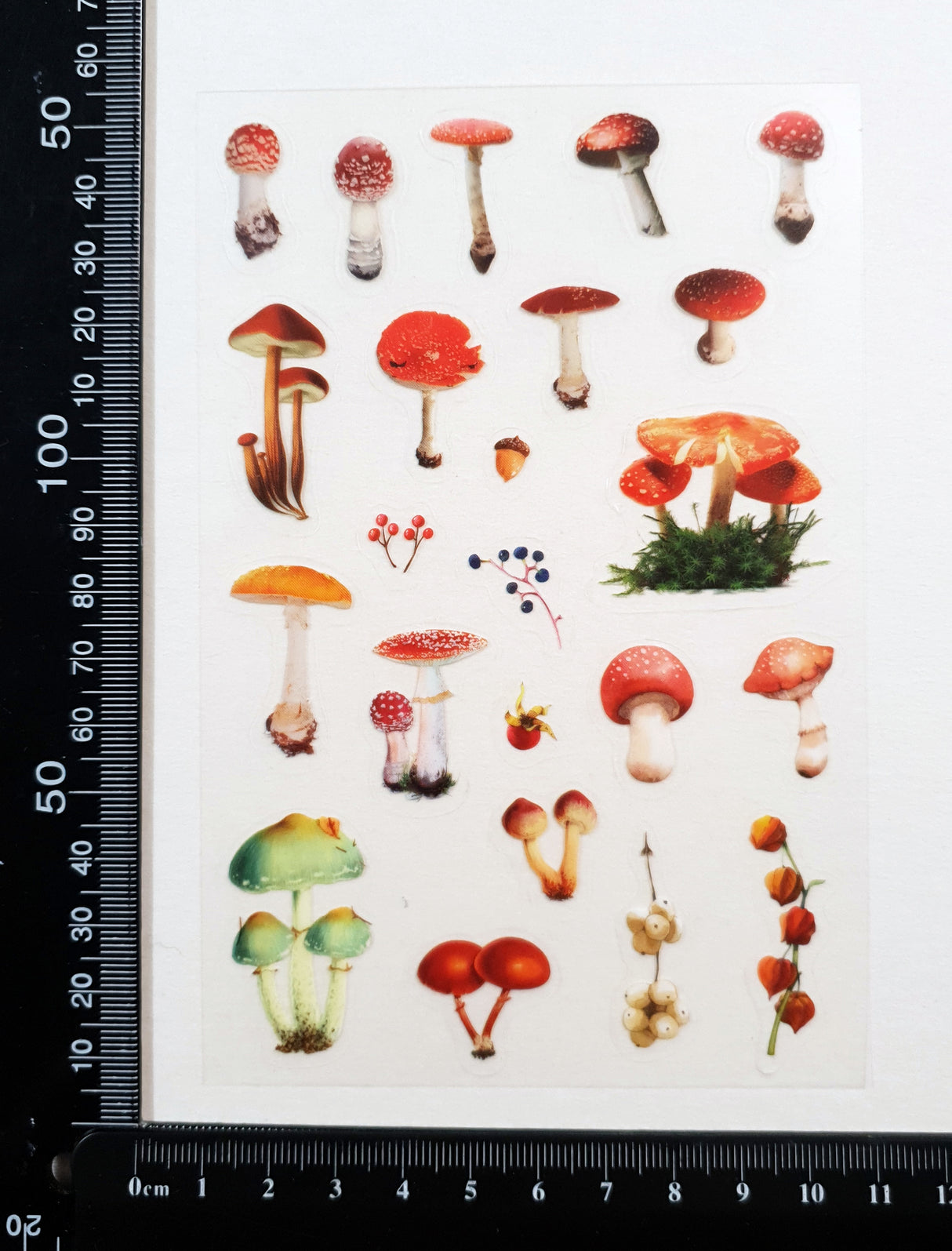 Clear Stickers - 2315