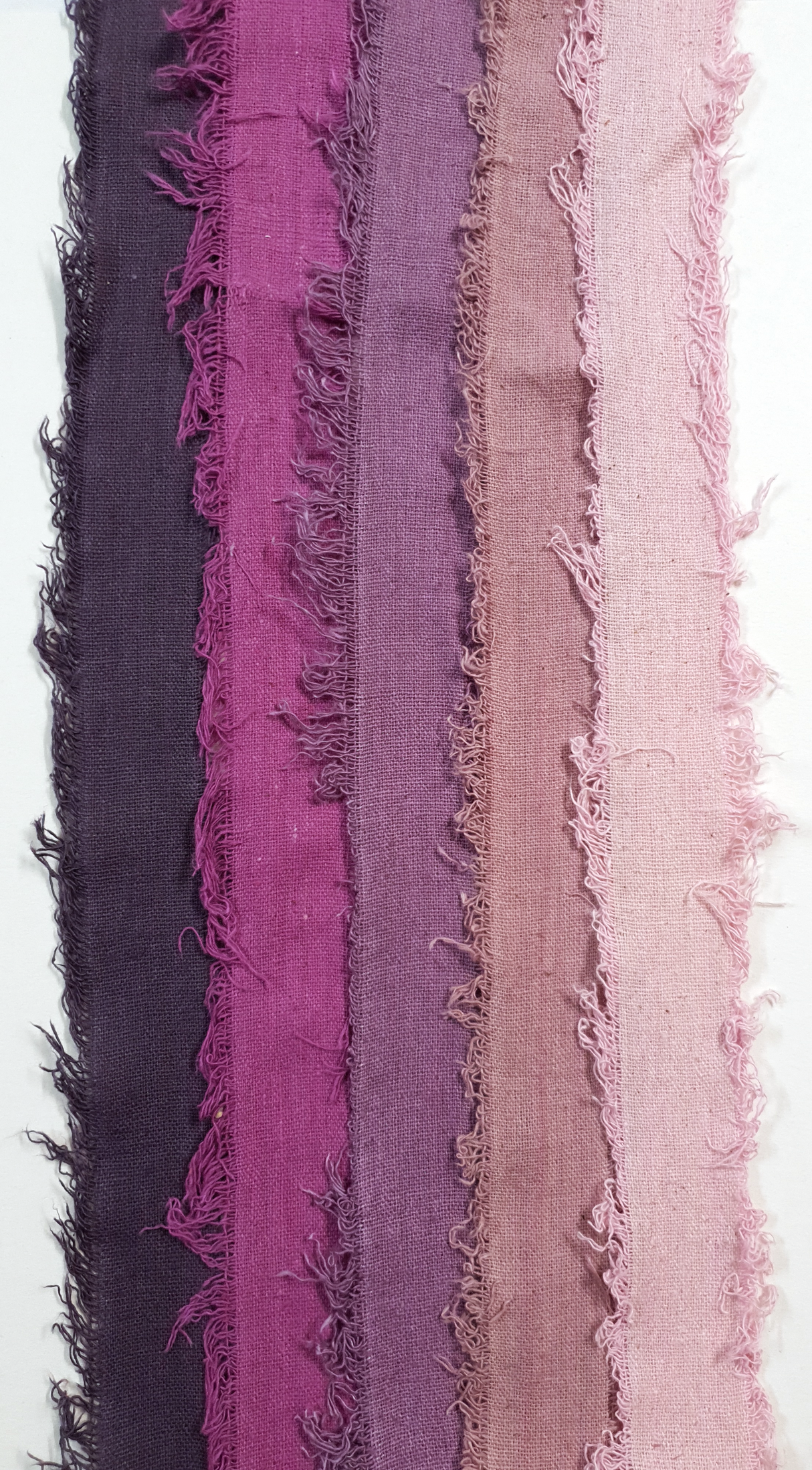 Assorted Cotton Cake Pack - 3027