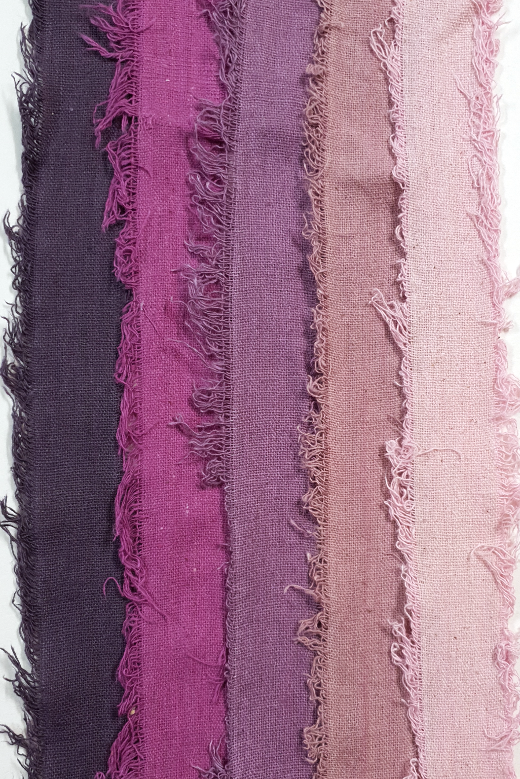 Assorted Cotton Cake Pack - 3027