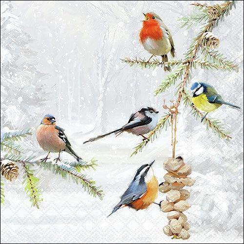 Decoupage Napkin - (DN-8867) - All Together