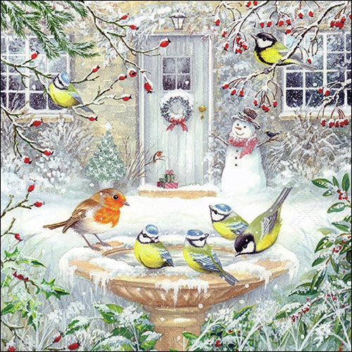 Decoupage Napkin - (DN-8847) - Joy Bath