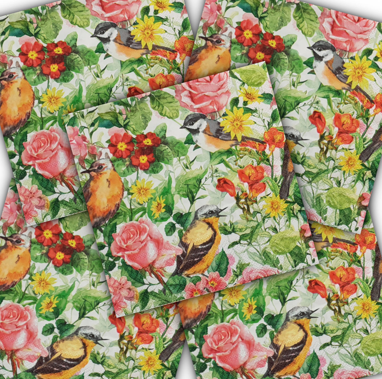 Decoupage Napkin - (DN-8004) - Spring Birds - Set of 5