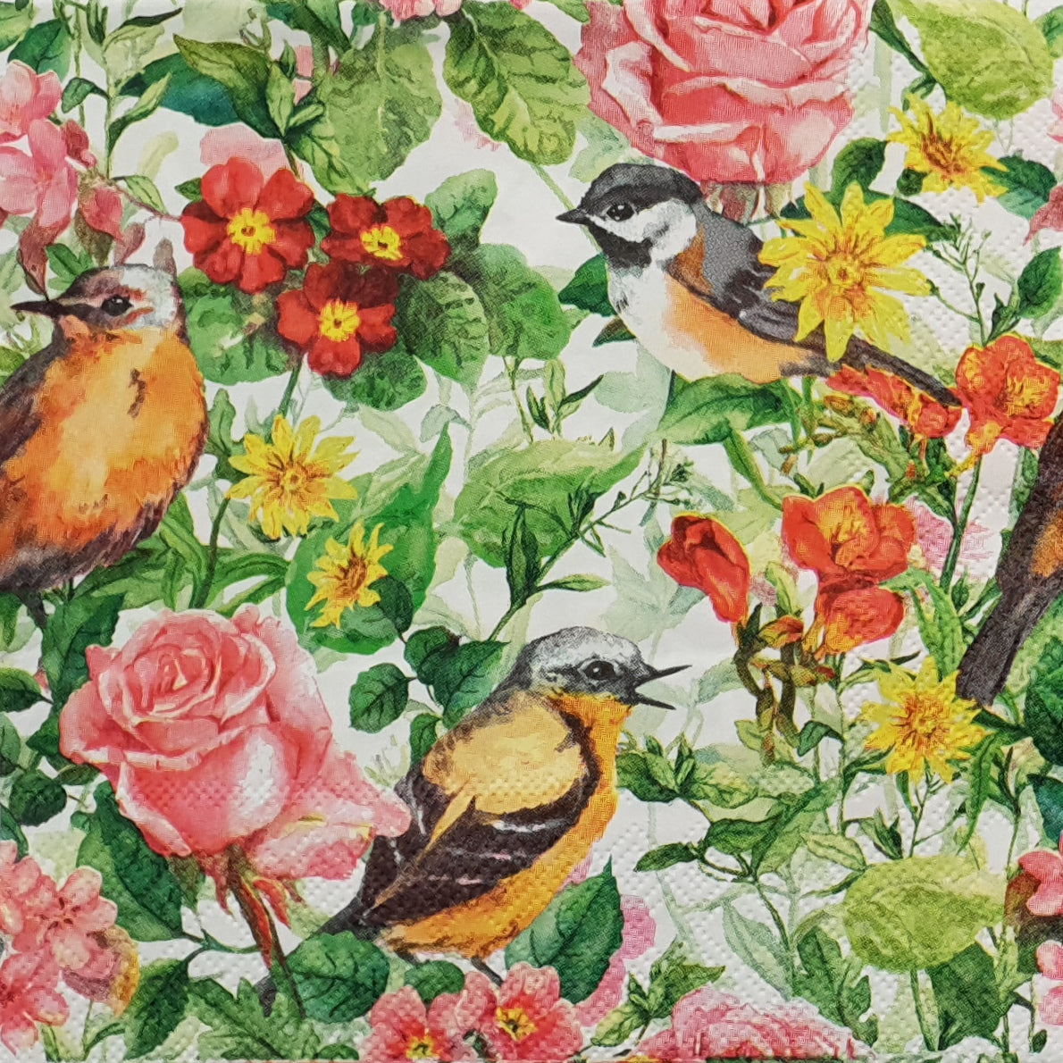 Decoupage Napkin - (DN-8004) - Spring Birds - Set of 5