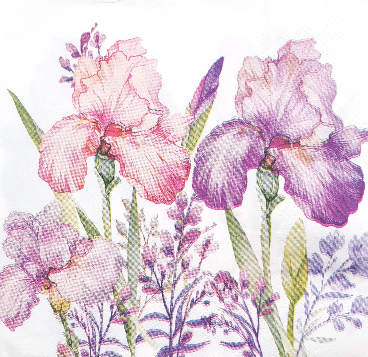 Decoupage Napkin - (DN-8020) - Flowers - Set of 5