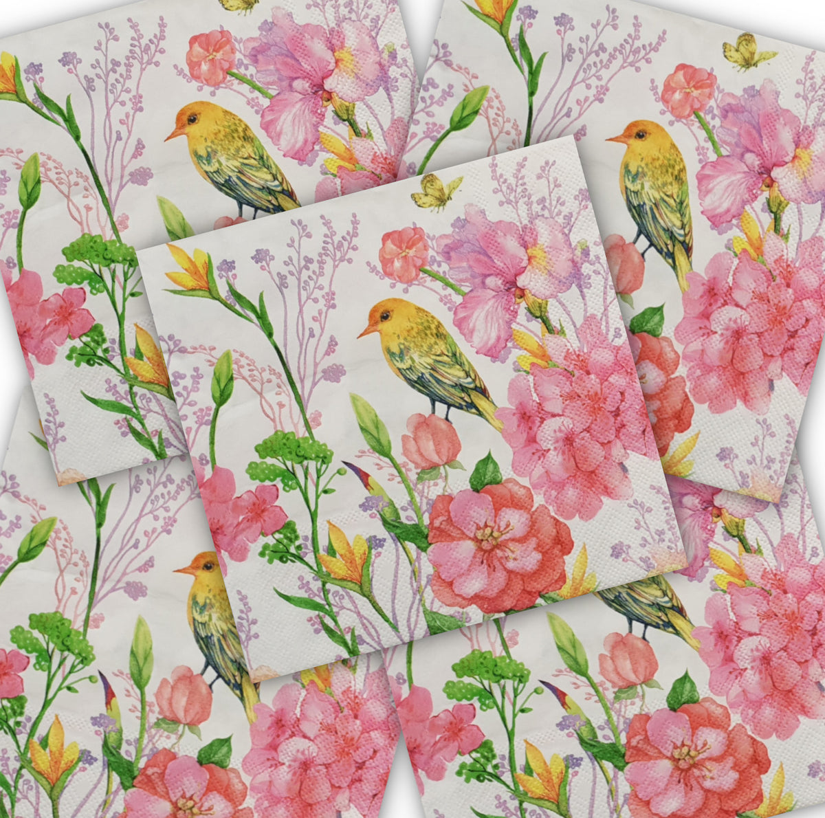 Decoupage Napkin - (DN-8033) - Set of 5