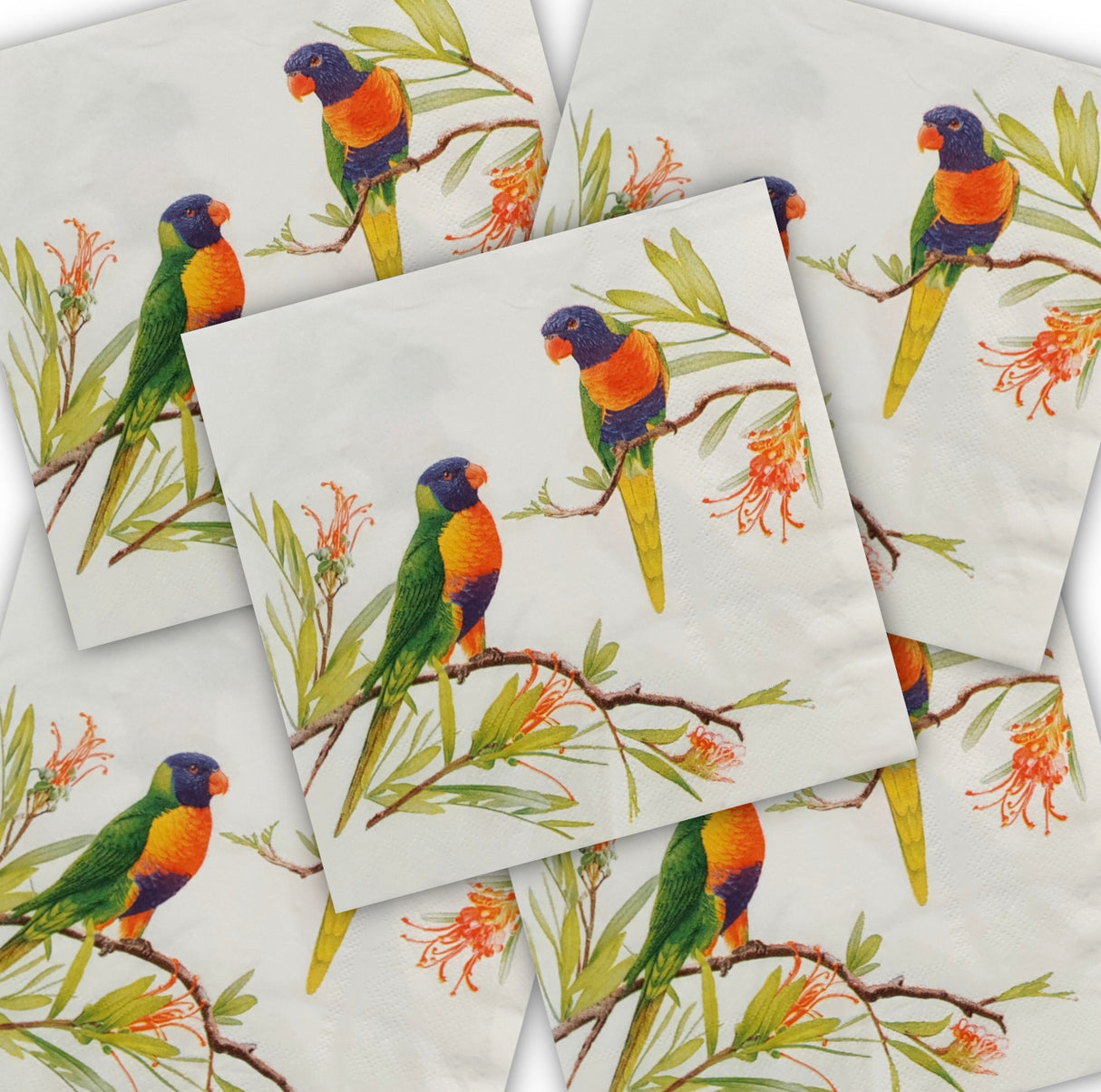 Decoupage Napkin - (DN-8044) - Lorikeets - Set of 5