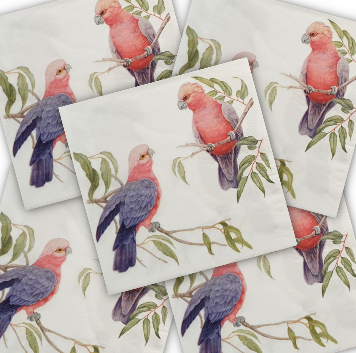 Decoupage Napkin - (DN-8056) - Galahs - Set of 5