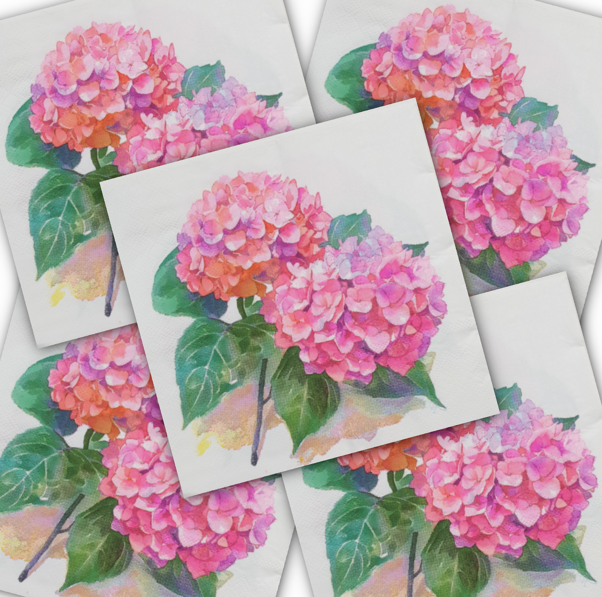 Decoupage Napkin - (DN-8045) - Flowers - Set of 5