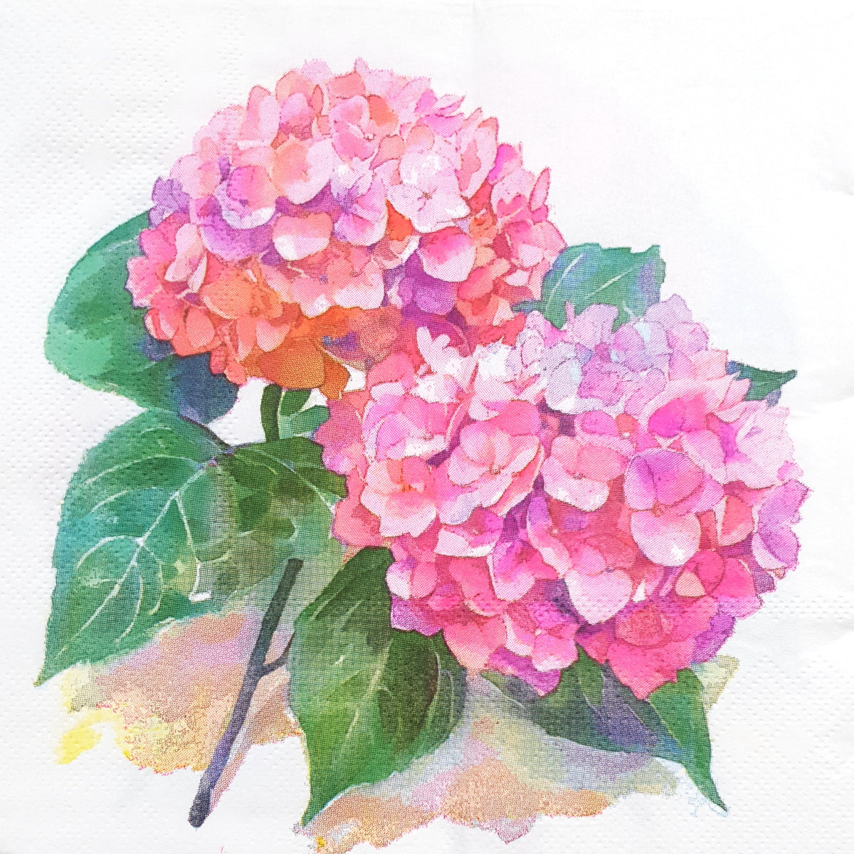 Decoupage Napkin - (DN-8045) - Flowers