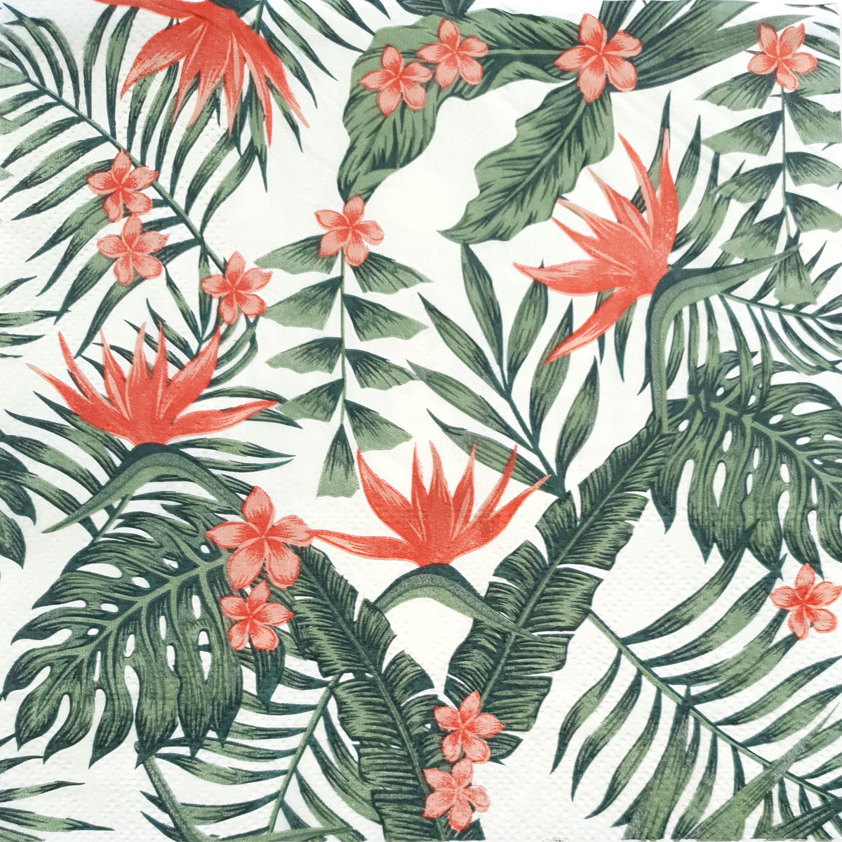 Decoupage Napkin - (DN-8046) - Flowers - Set of 5
