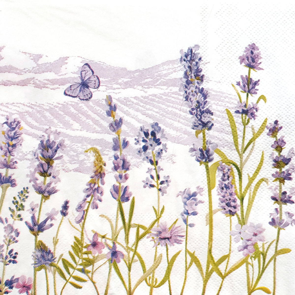 Decoupage Napkin - (DN-8051) - Set of 5