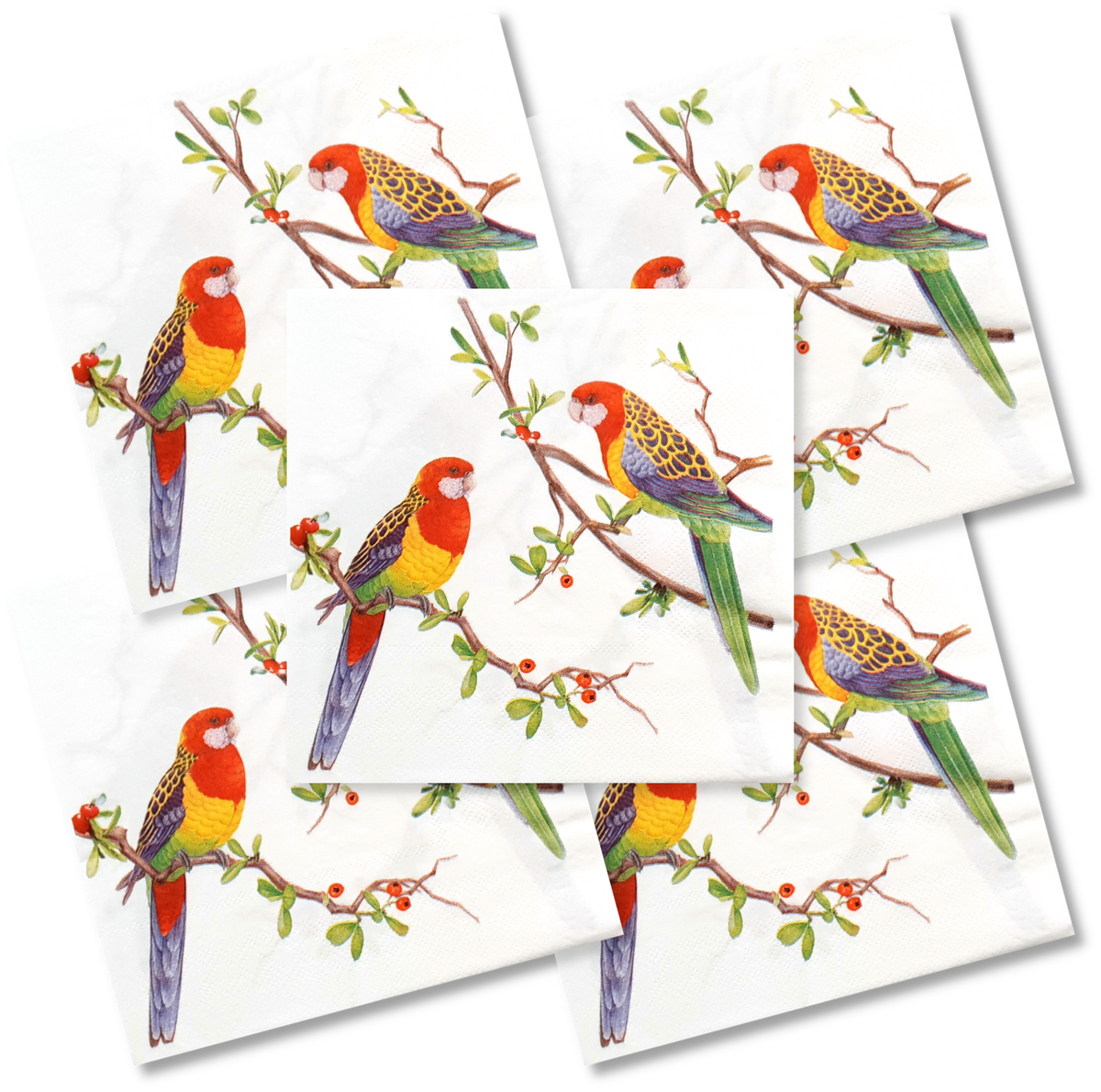 Decoupage Napkin - (DN-8054 - Rosellas) - Set of 5