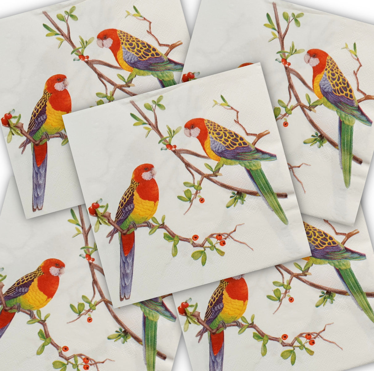 Decoupage Napkin - (DN-8054 - Rosellas) - Set of 5