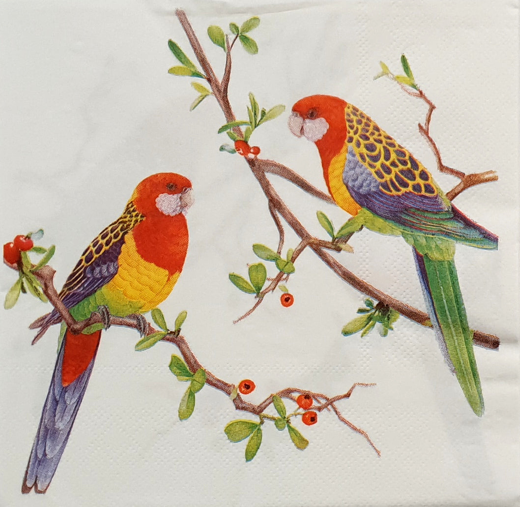 Decoupage Napkin - (DN-8054 - Rosellas) - Set of 5