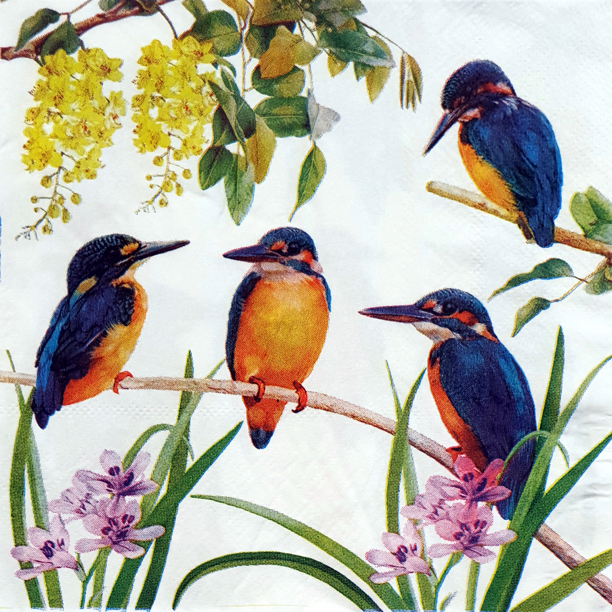 Decoupage Napkin - (DN-8061) - Set of 5