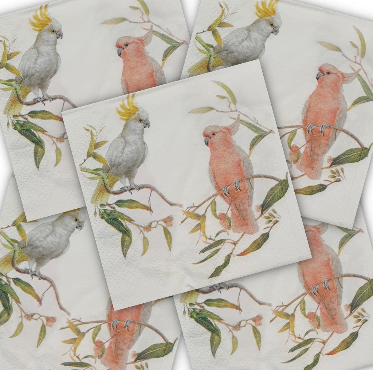 Decoupage Napkin - Parrot Friends - (DN-8067) - Set of 5
