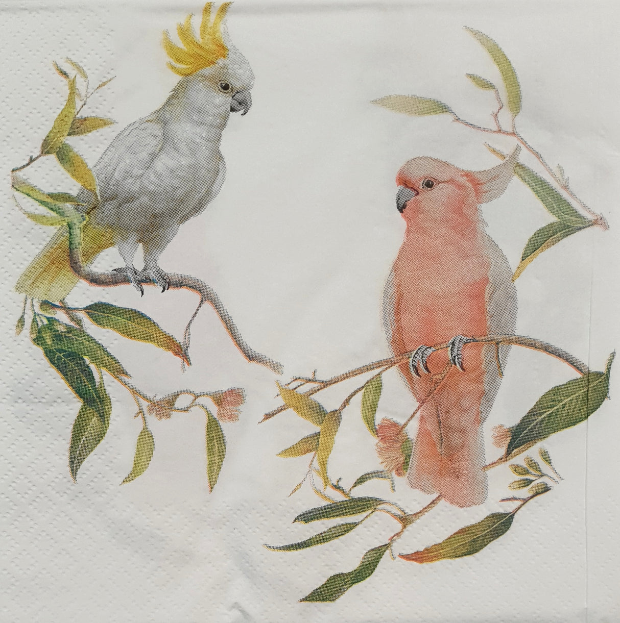 Decoupage Napkin - Parrot Friends - (DN-8067) - Set of 5